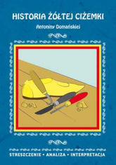 Historia żółtej ciżemki Antoniny Domańskiej Streszczenie, analiza, interpretacja -  | mała okładka