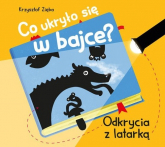 Co ukryło się w bajce? Odkrycia z latarką - Krzysztof Zięba | mała okładka