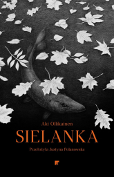 Sielanka - Aki Ollikainen | mała okładka