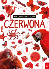 Kolorowa przyroda. Czerwona. Młodzi przyrodnicy -  | mała okładka