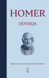Odyseja - Homer | mała okładka