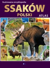 Ilustrowana encyklopedia ssaków polski - Opracowanie Zbiorowe | mała okładka