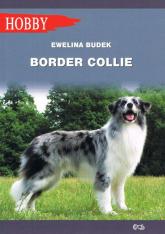 Border Collie wyd. 2 - Ewelina Budek | mała okładka