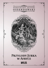 Przygody Jurka w Afryce - Antoni Ferdynand Ossendowski | mała okładka