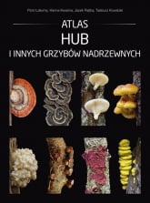 Atlas hub i innych grzybów nadrzewnych - Kowalski Tadeusz, Kwaśna Hanna, Łakomy Piotr | mała okładka