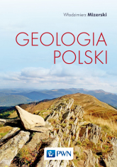 Geologia Polski wyd. 6 - Włodzimierz Mizerski | mała okładka