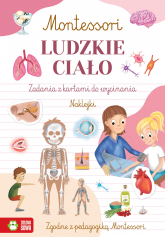 Ludzkie ciało. Montessori - Zuzanna Osuchowska | mała okładka