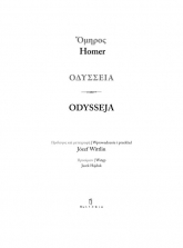 Odysseja - Homer | mała okładka
