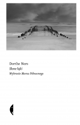 Słone łąki. Wybrzeże Morza Północnego - Dorthe Nors | mała okładka