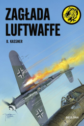 Zagłada Luftwaffe -  | mała okładka