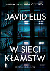 W sieci kłamstw - David Ellis | mała okładka