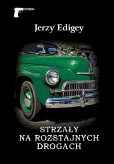 Strzały na rozstajnych drogach - Jerzy Edigey | mała okładka