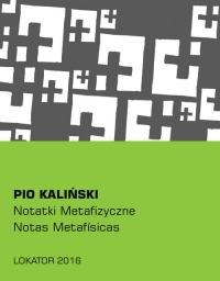 Notatki metafizyczne - Pio Kaliński | mała okładka