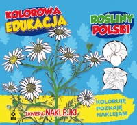 Kolorowa edukacja Rośliny Polski naklejka -  | mała okładka