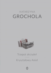 Trzepot skrzydeł Kryształowy Anioł - Katarzyna  Grochola | mała okładka