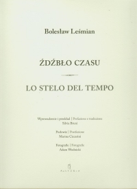 Źdźbło czasu Lo stelo del tempo - Bolesław 	Leśmian | mała okładka