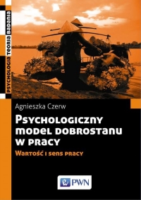 Psychologiczny model dobrostanu w pracy Wartość i sens pracy - Agnieszka Czerw | mała okładka