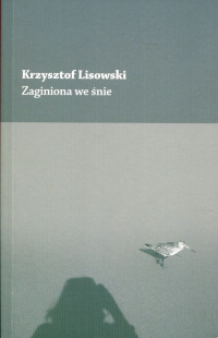 Zaginiona we śnie - Krzysztof Lisowski | mała okładka