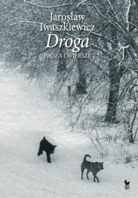 Droga Proza i wiersze - Jarosław Iwaszkiewicz | mała okładka