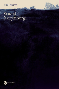 Studnie Norymbergi - Emil Marat | mała okładka