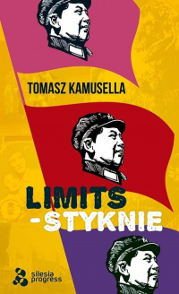 Styknie / Limits / Silesia Progress - Tomasz Kamusella | mała okładka