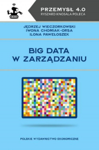 Big data w zarządzaniu - Chomiak-Orsa Iwona, Pawełoszek Ilona, Wieczorkowski Jędrzej | mała okładka