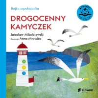 Bajka uspokajanka Drogocenny kamyczek - Jarosław Mikołajewski | mała okładka