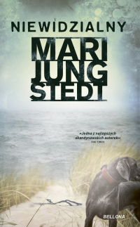Niewidzialny - Jungstedt Mari | mała okładka