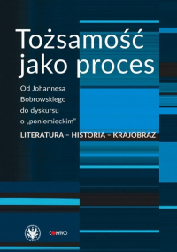 Tożsamość jako proces Od Johannesa Bobrowskiego do dyskursu o „poniemieckim”. Literatura - historia -  | mała okładka